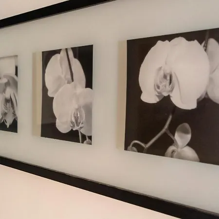 Apartment Italianway - Riva Di Reno 47 B Bologna