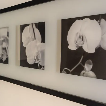 Italianway - Riva Di Reno 47 B Μπολόνια