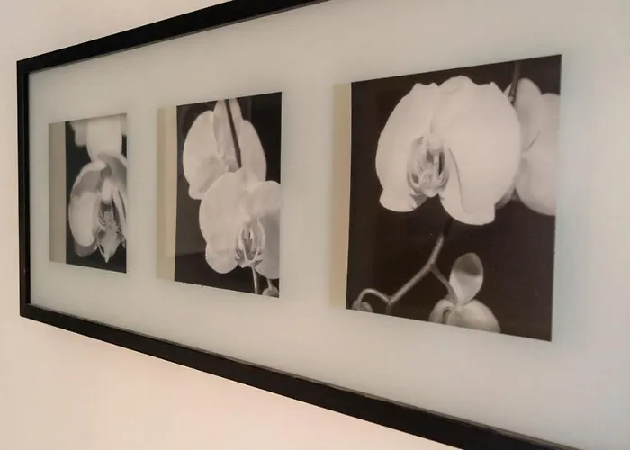 Appartement Italianway - Riva Di Reno 47 B Bologna