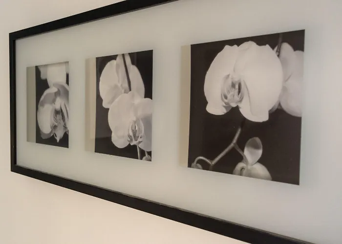 Italianway - Riva Di Reno 47 B בולוניה